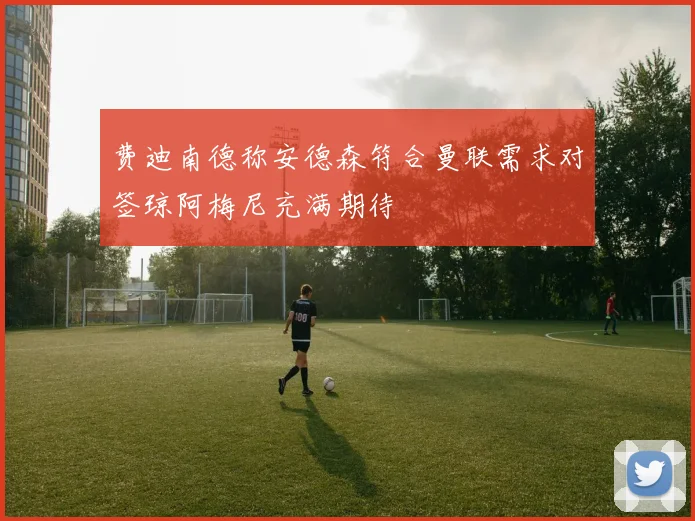 费迪南德称安德森符合曼联需求对签琼阿梅尼充满期待