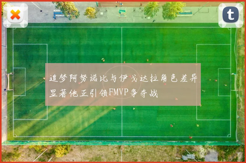 追梦阿努诺比与伊戈达拉角色差异显著他正引领FMVP争夺战