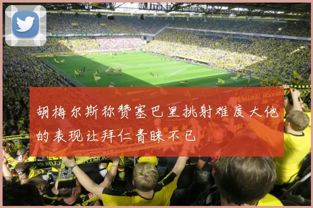 胡梅尔斯称赞塞巴里挑射难度大他的表现让拜仁青睐不已