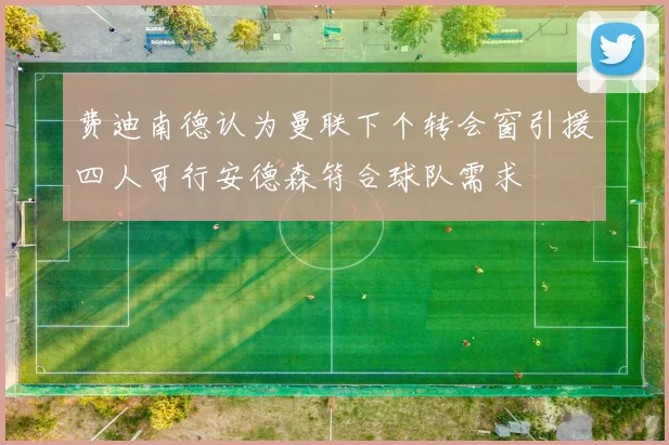 费迪南德认为曼联下个转会窗引援四人可行安德森符合球队需求