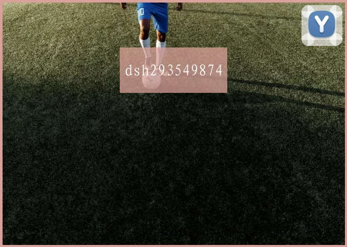 dsh293549874