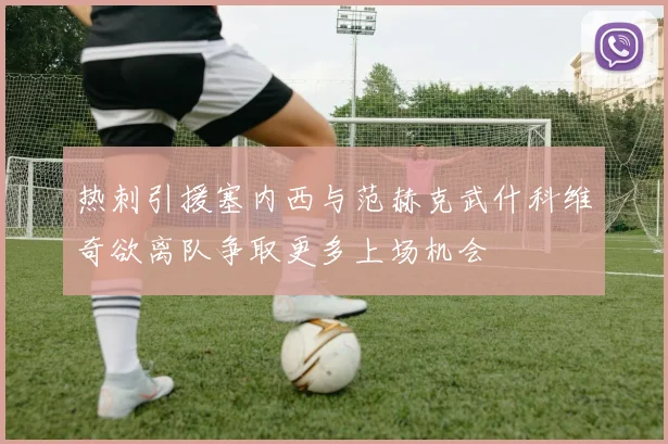 热刺引援塞内西与范赫克武什科维奇欲离队争取更多上场机会