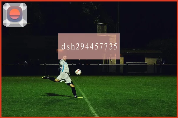 dsh294457735