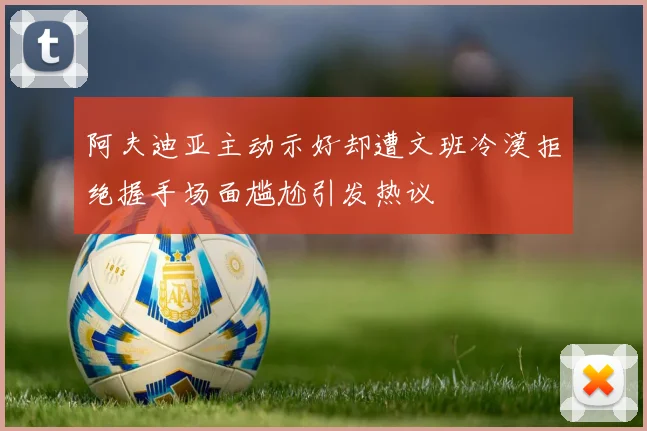阿夫迪亚主动示好却遭文班冷漠拒绝握手场面尴尬引发热议
